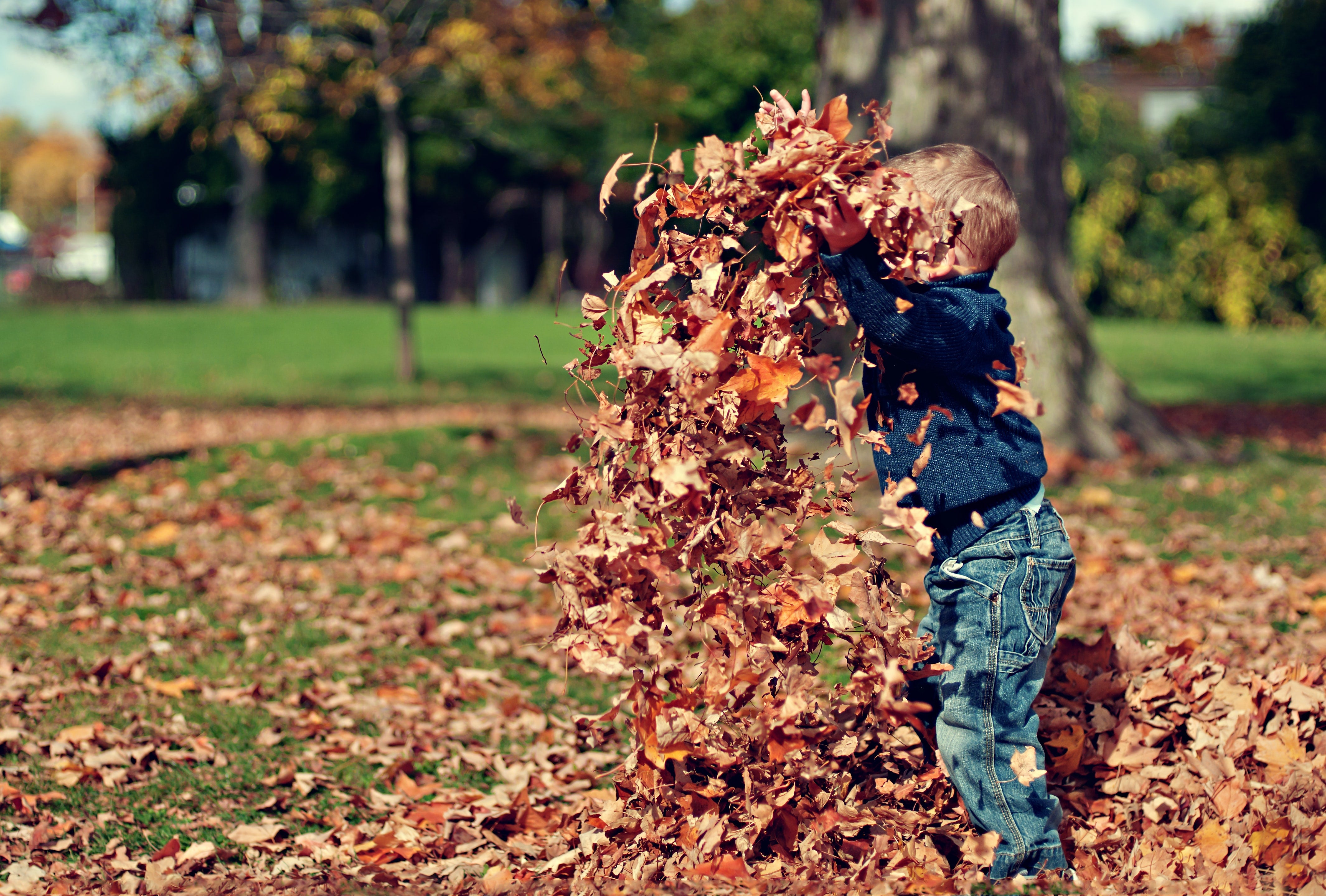 Studying the Autumnal Equinox in a Montessori Primary Classroom