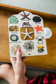 Double sided Shell and tide pool finder nature window