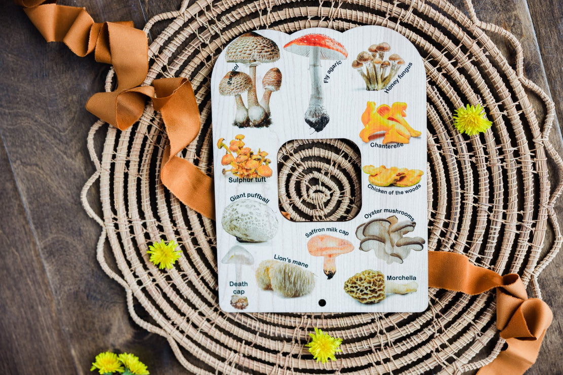 Double sided flower and fungi (mushroom) nature window
