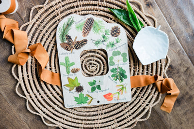 Double sided Trees and tracks nature explorer window