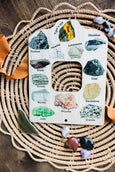 Double sided Rock and Minerals nature window