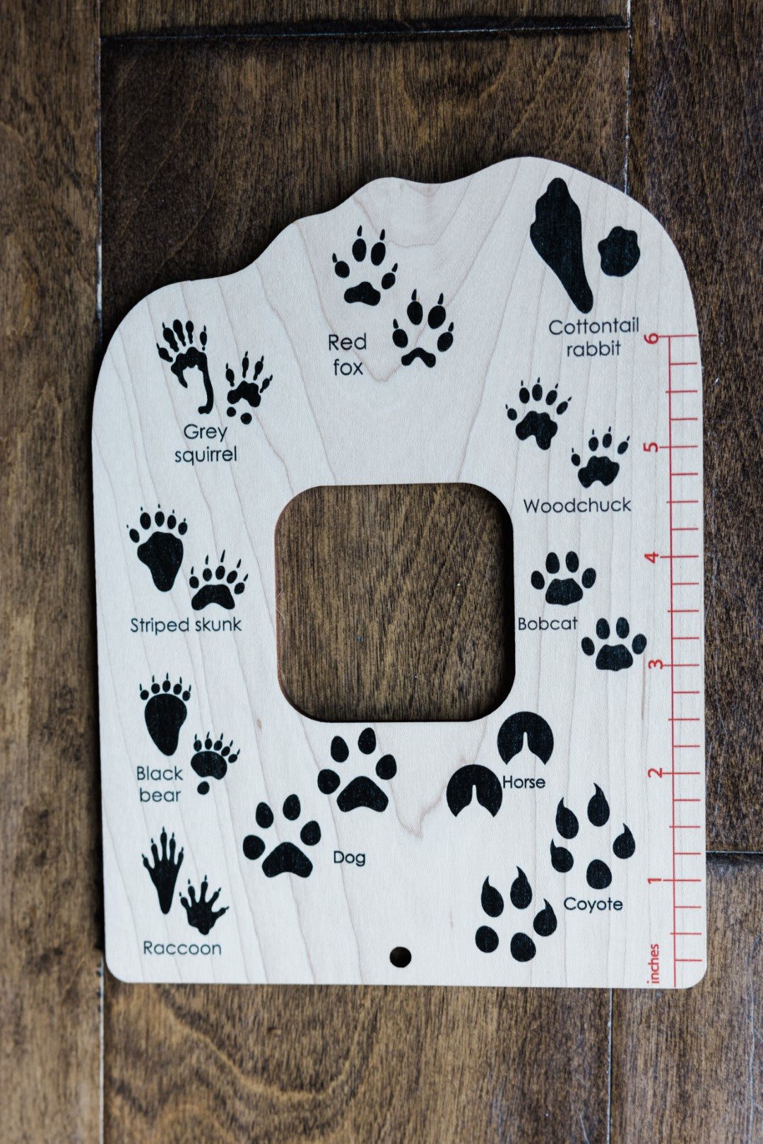 Double sided Trees and tracks nature explorer window