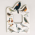 Double sided Bird and Bug finder nature window