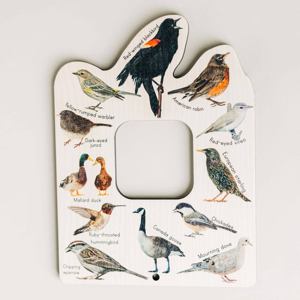Double sided Bird and Bug finder nature window