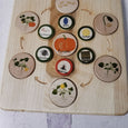 SECONDS/IMPERFECT Life cycle board wooden - Montessori science BOARD ONLY