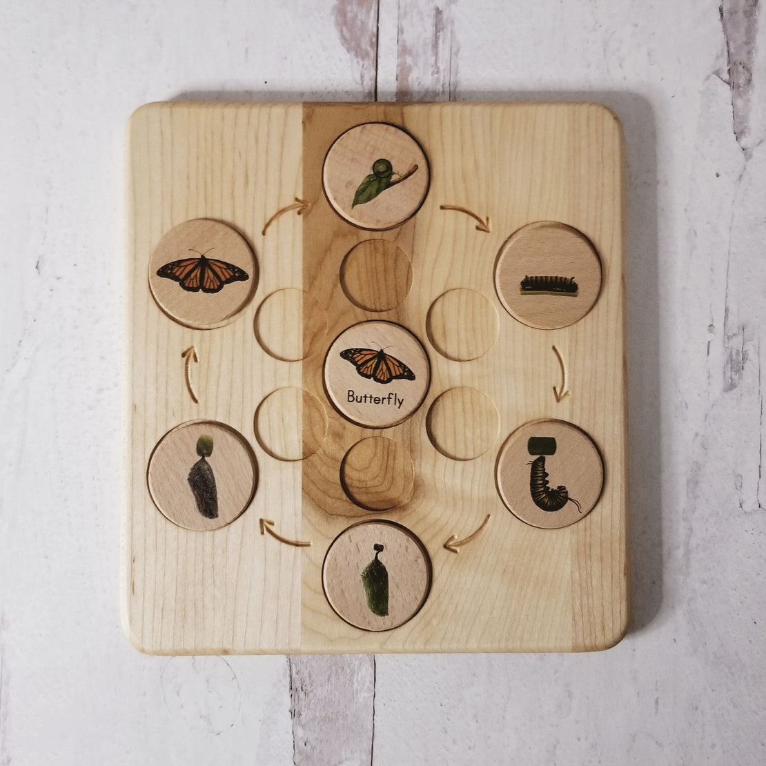 SECONDS/IMPERFECT Life cycle board wooden - Montessori science BOARD ONLY