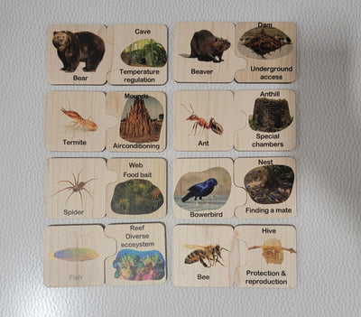 Animal homes self correcting puzzle - Animal architects