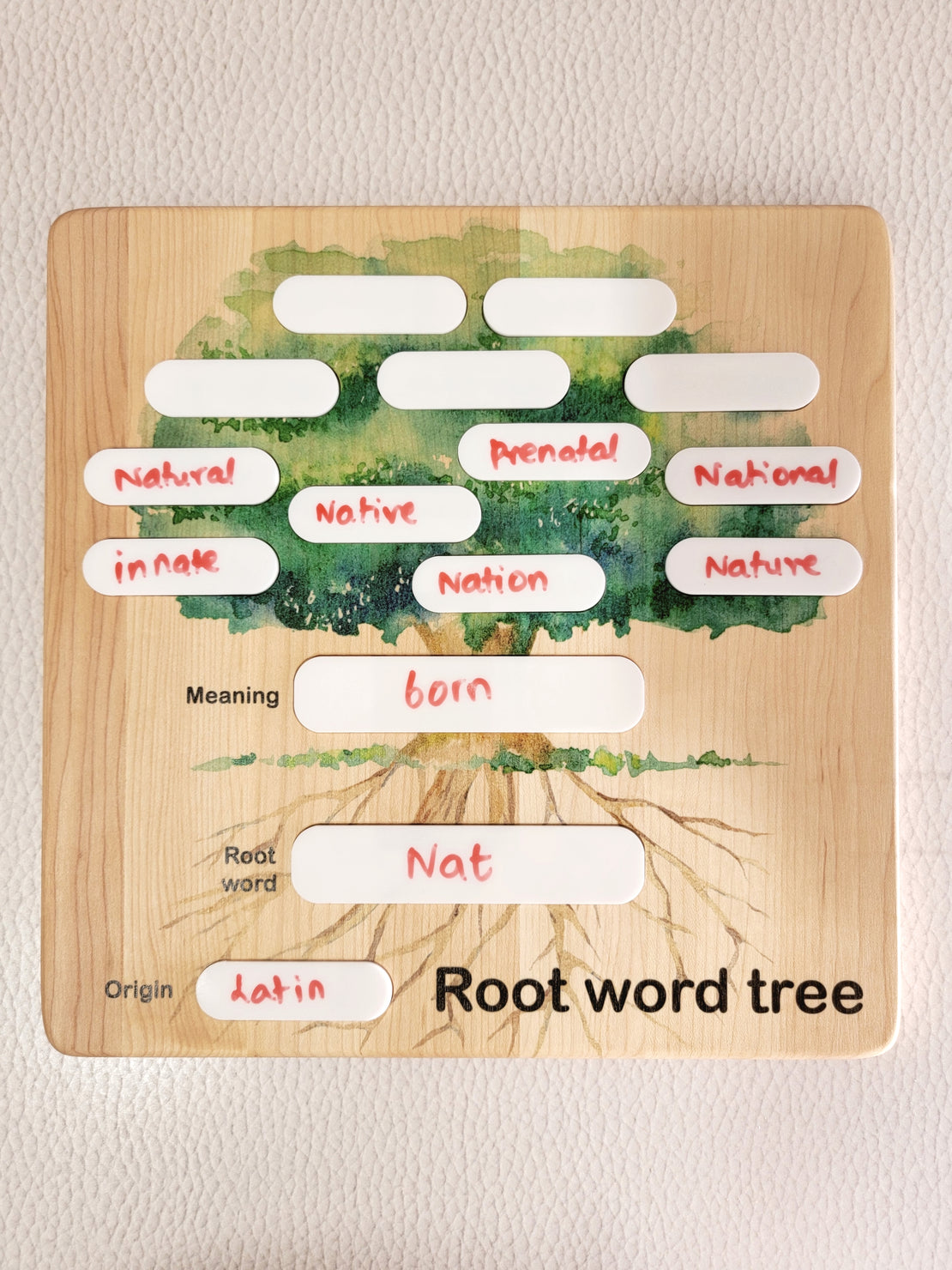 Root word tree board