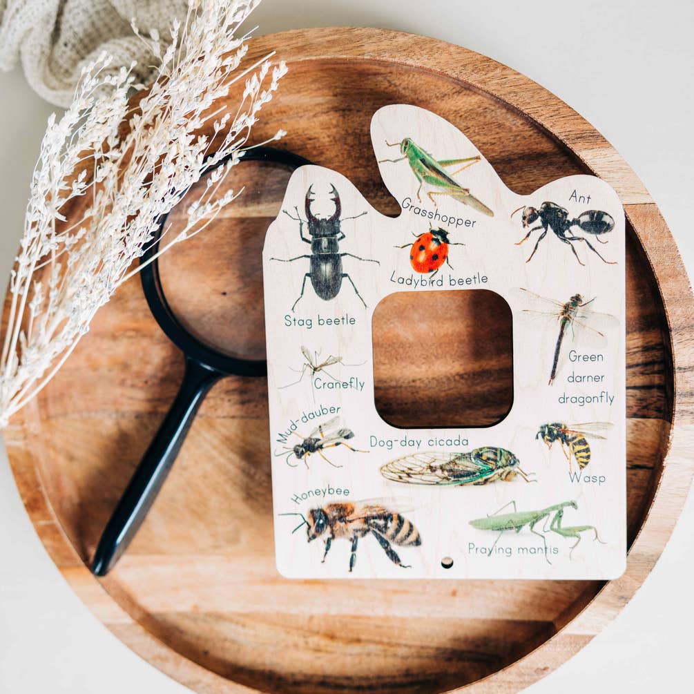 Double sided Bird and Bug finder nature window
