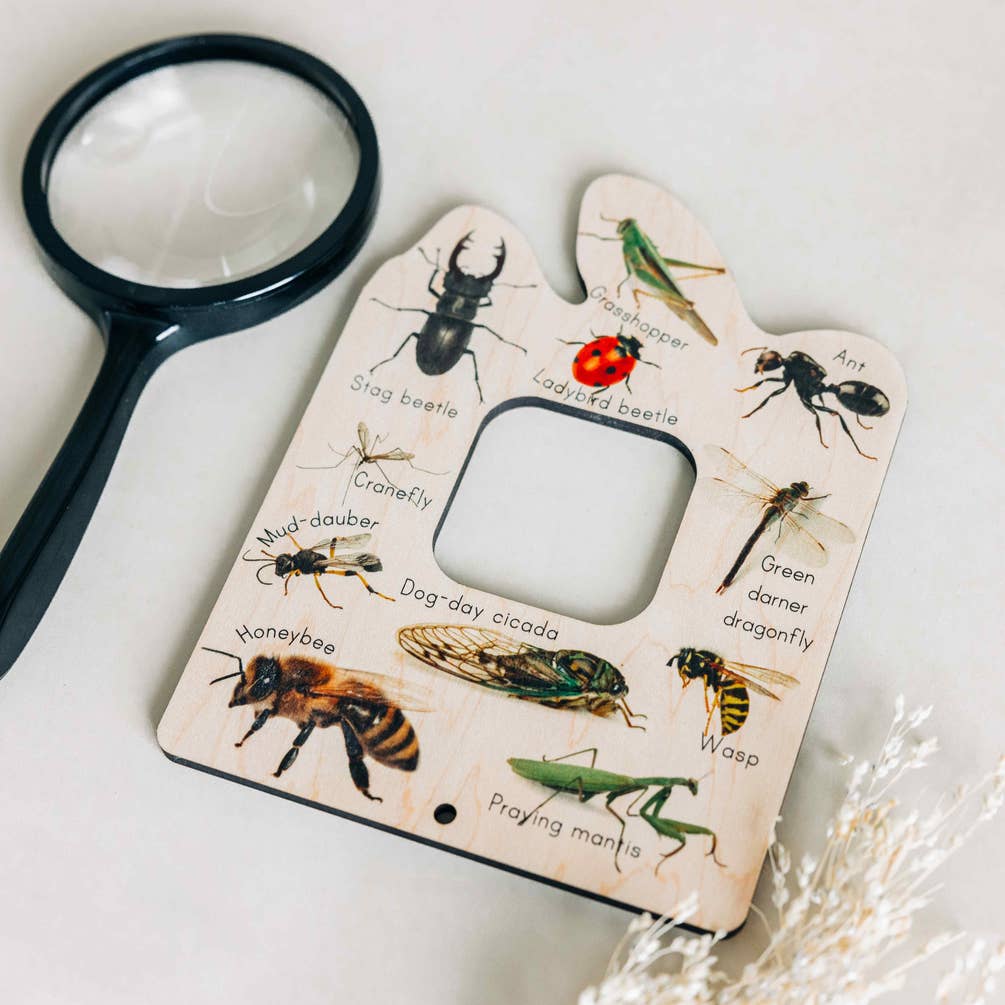 Double sided Bird and Bug finder nature window