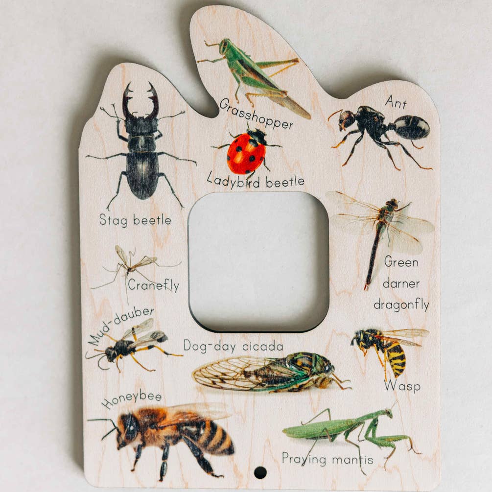 Double sided Bird and Bug finder nature window