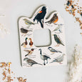 Double sided Bird and Bug finder nature window