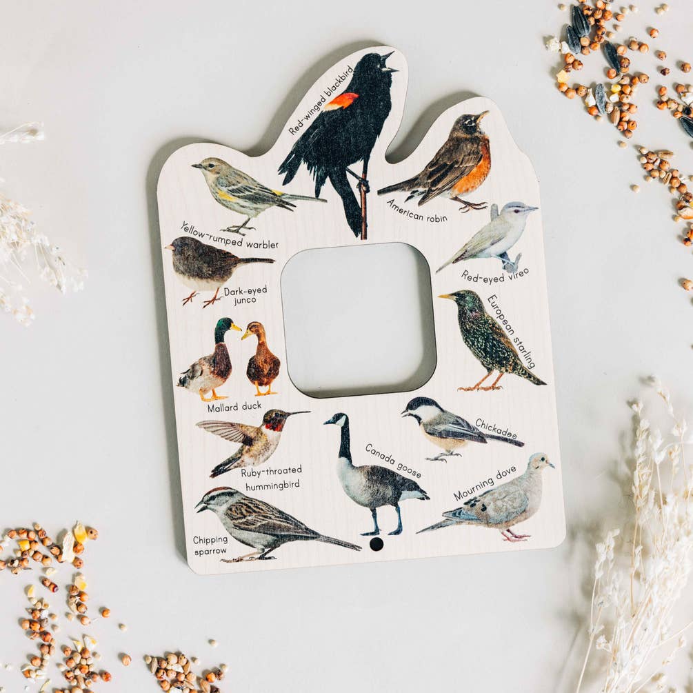 Double sided Bird and Bug finder nature window