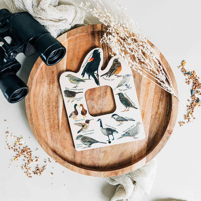 Double sided Bird and Bug finder nature window