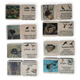 Wooden memory puzzle - Montessori toys - bird nest puzzle - wooden toys