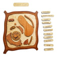 Plant cell model, wooden cell model