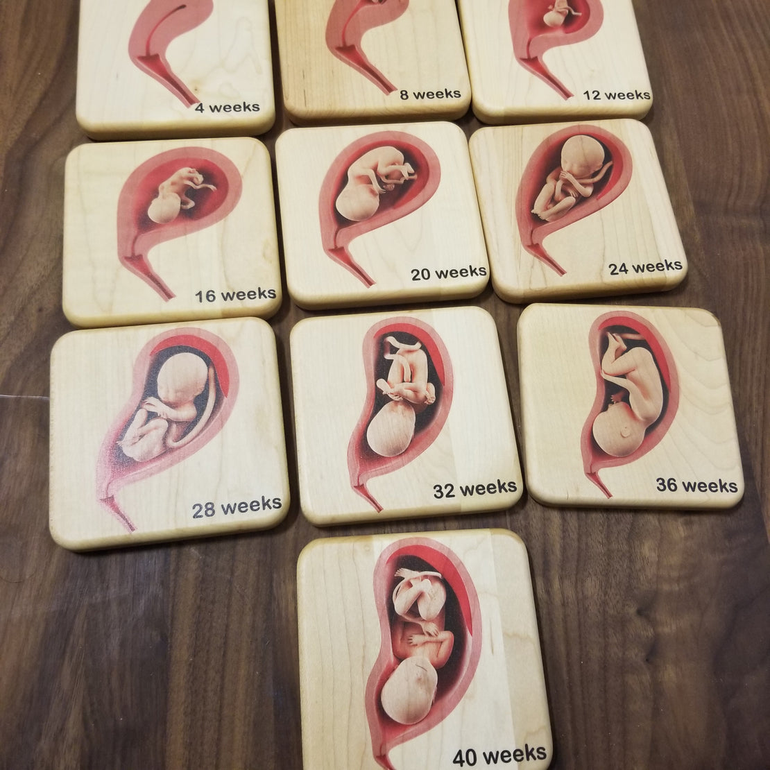 Doula Gift Ideas - Stages of pregnancy and fetal development wooden tiles, obgyn gift, midwife gift, doula gift, graduation gift