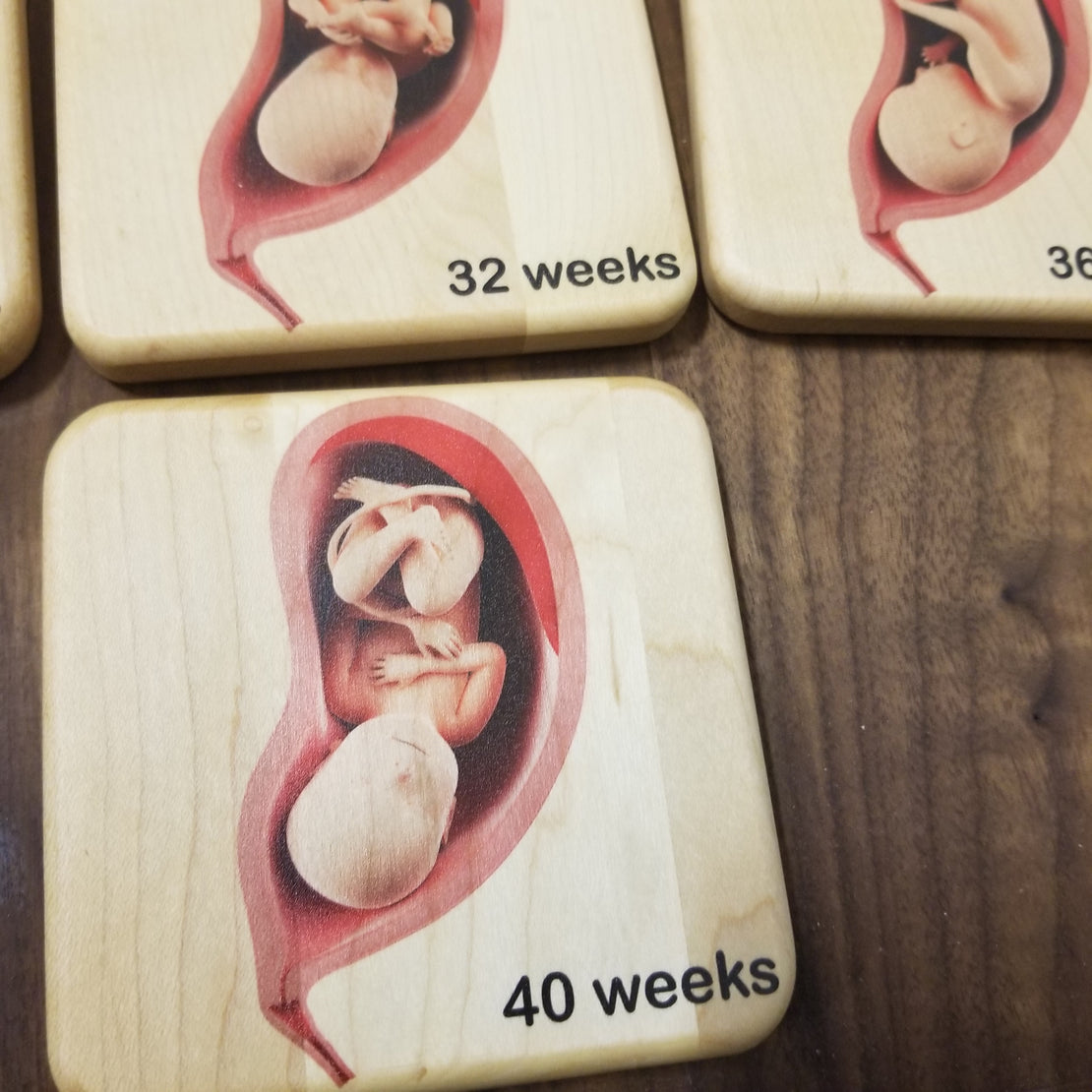 Doula Gift Ideas - Stages of pregnancy and fetal development wooden tiles, obgyn gift, midwife gift, doula gift, graduation gift