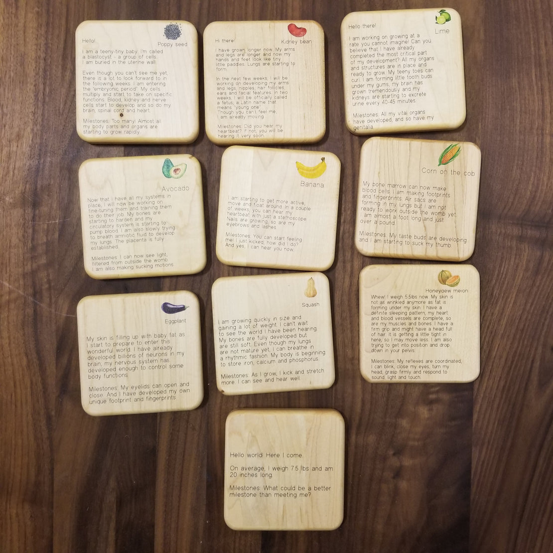 Doula Gift Ideas - Stages of pregnancy and fetal development wooden tiles, obgyn gift, midwife gift, doula gift, graduation gift