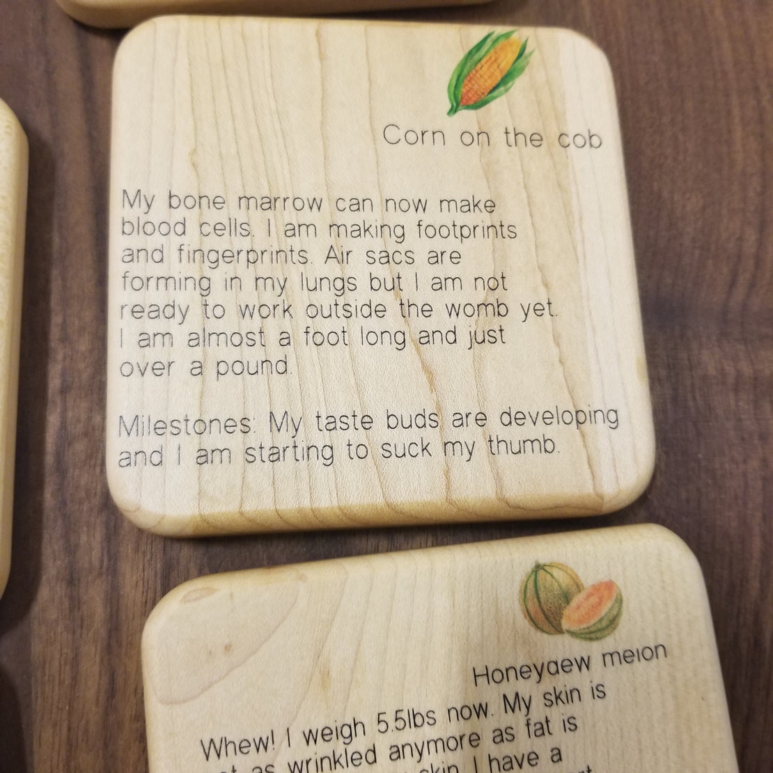 Doula Gift Ideas - Stages of pregnancy and fetal development wooden tiles, obgyn gift, midwife gift, doula gift, graduation gift