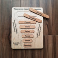 Taxonomy puzzle - Classification chart - Animal kingdom classification puzzle