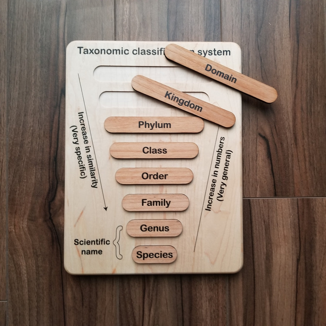 Taxonomy puzzle - Classification chart - Animal kingdom classification puzzle