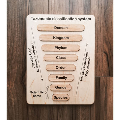 Taxonomy puzzle - Classification chart - Animal kingdom classification puzzle