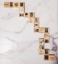 Women in science Dominos
