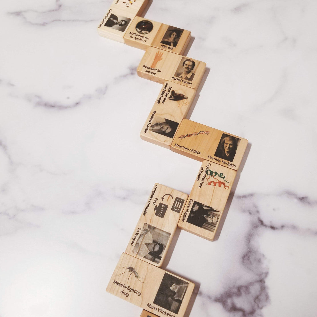 Women in science Dominos