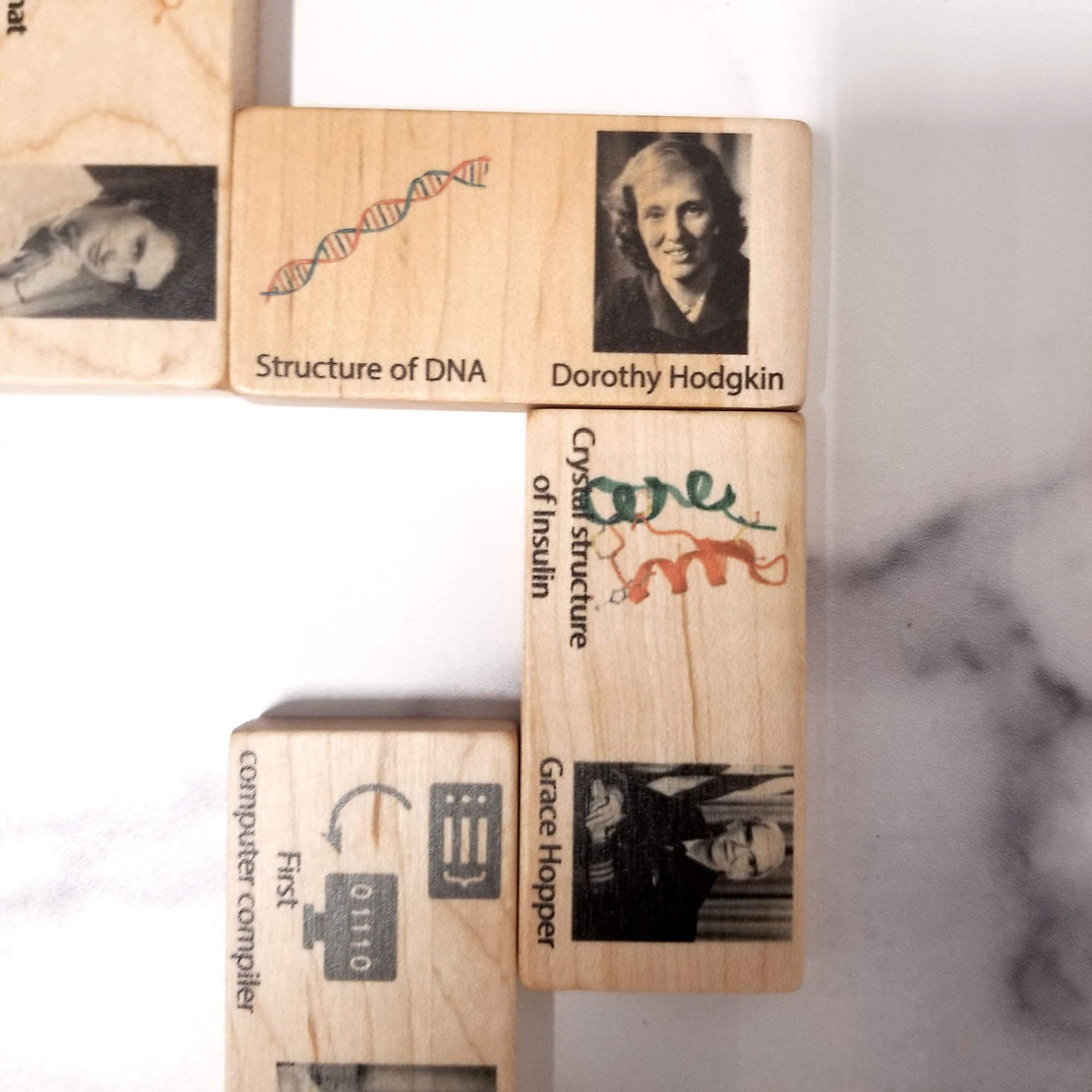 Women in science Dominos