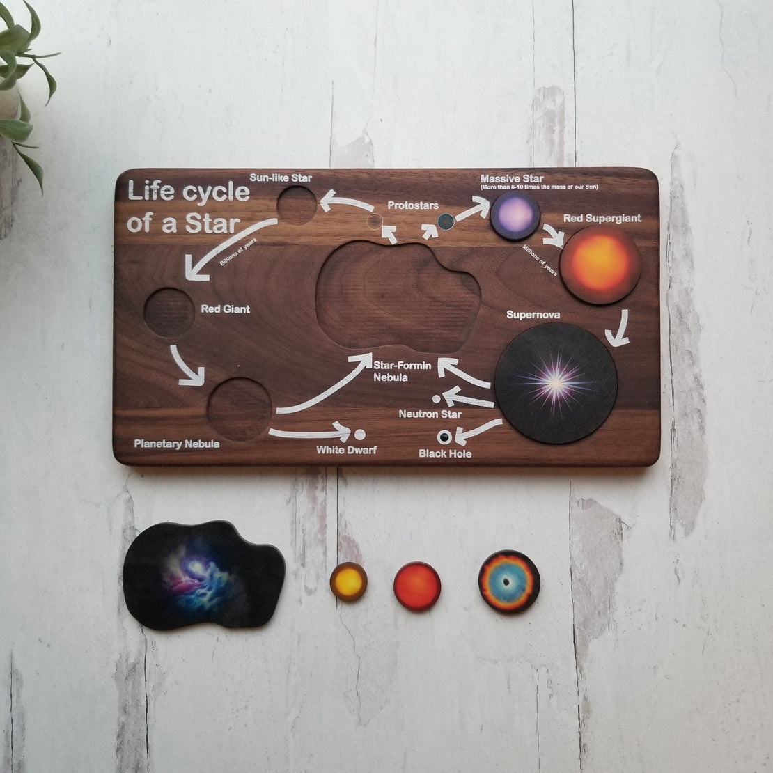 Life cycle of a star puzzle