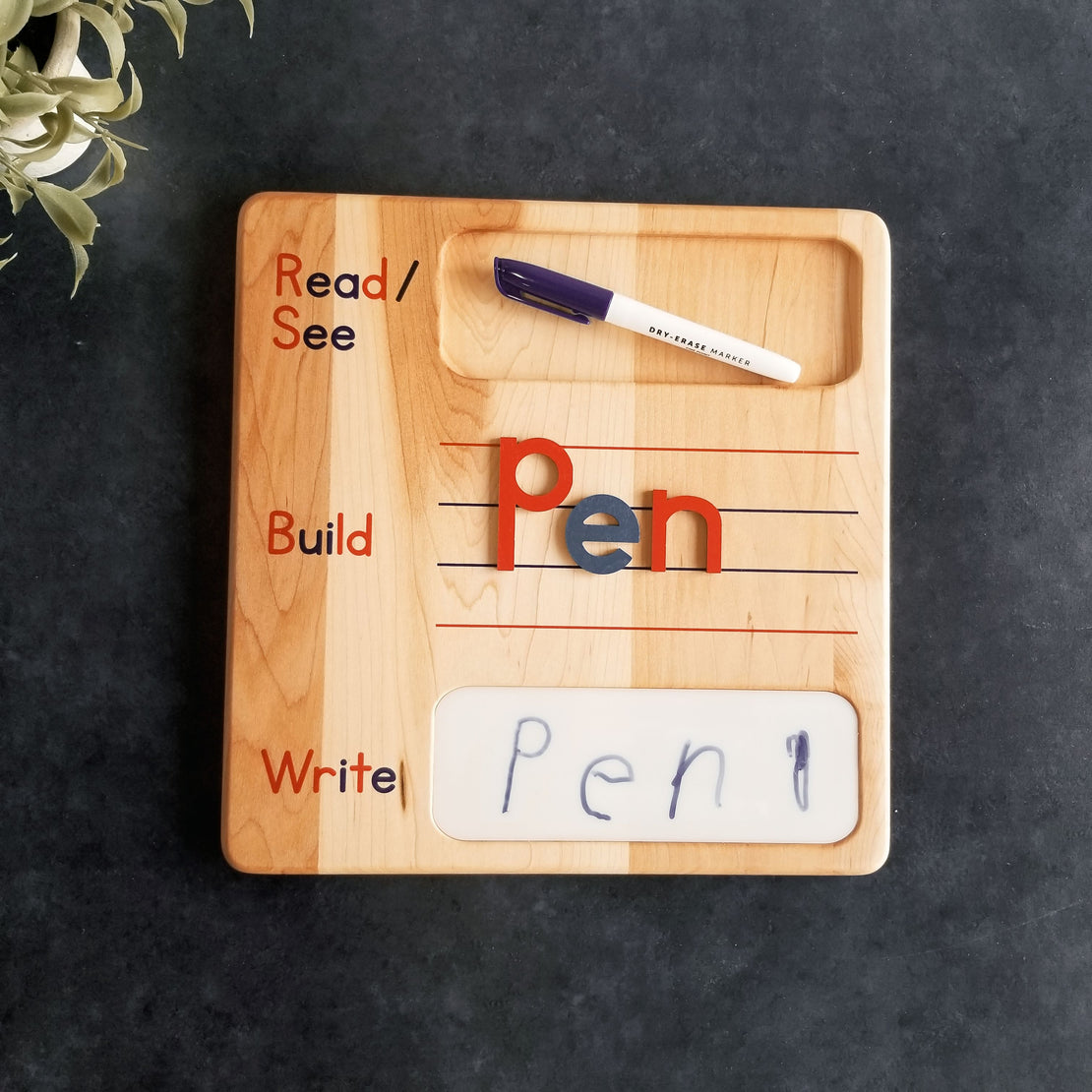 Dry erase Read build write board - spelling CVC board