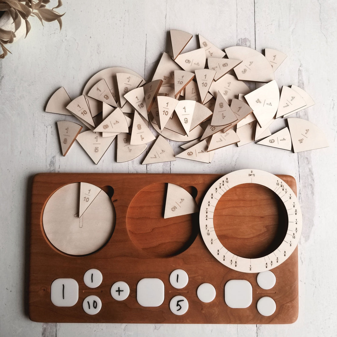 SECONDS/IMPERFECT Fraction manipulation board - Fraction circles