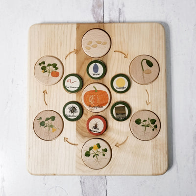 Life cycle board wooden - Montessori science