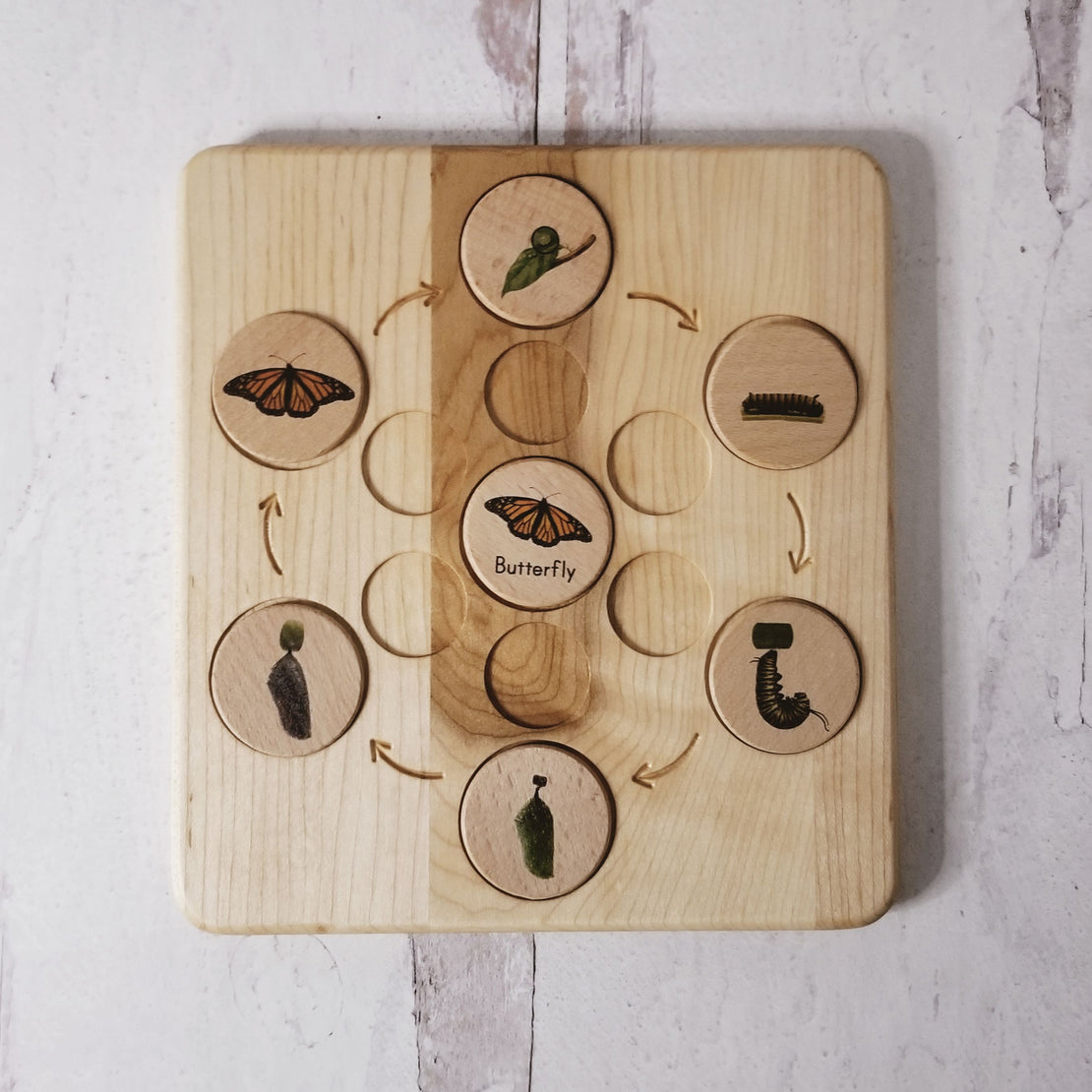 Life cycle board wooden - Montessori science
