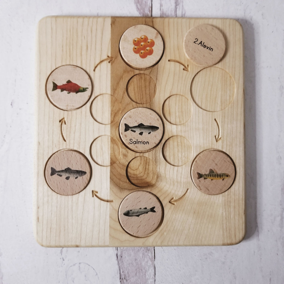 Life cycle board wooden - Montessori science