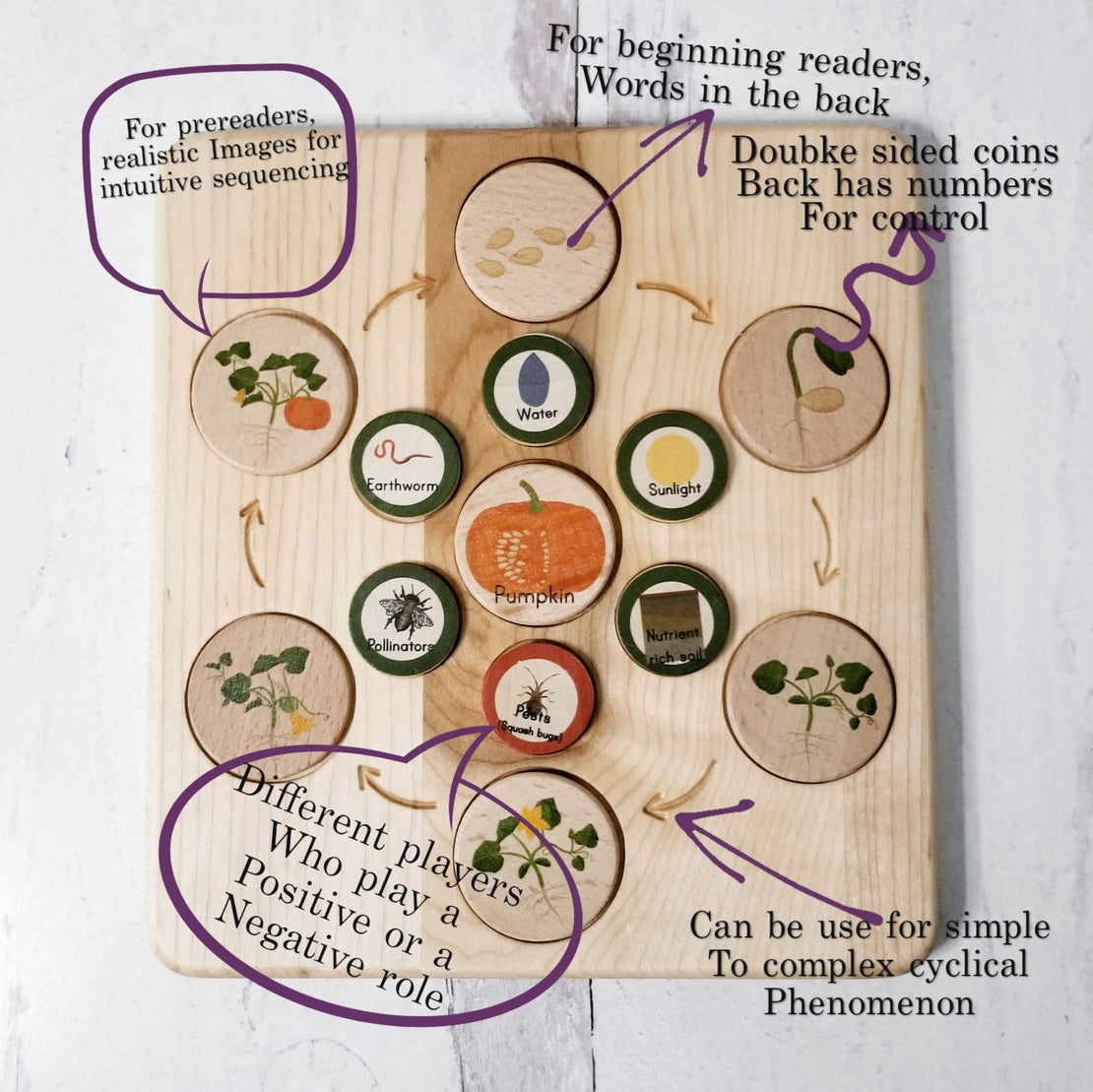 Life cycle board wooden - Montessori science