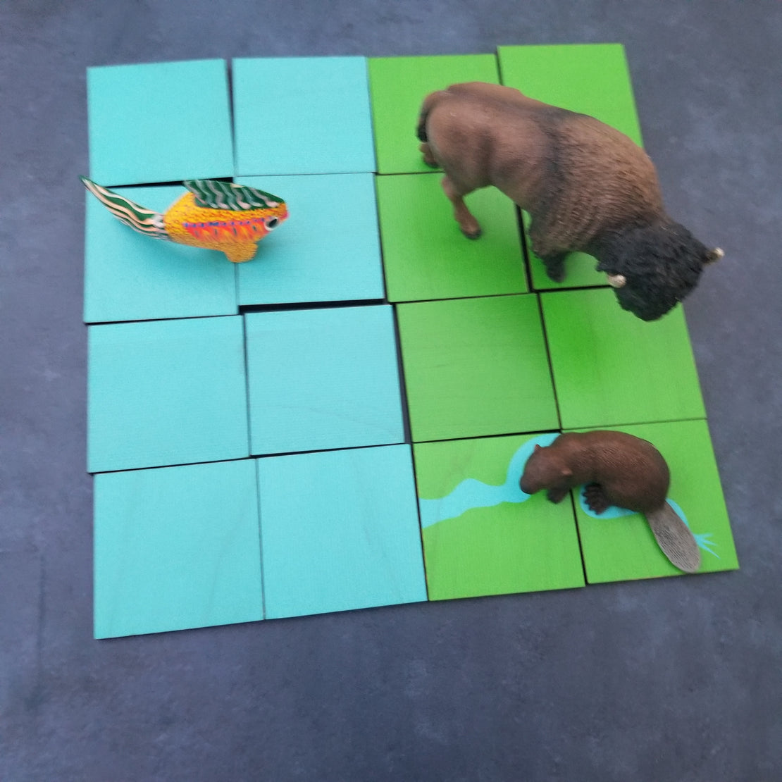 Land and water form puzzle