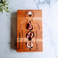 Human anatomy tray - human organ model holder