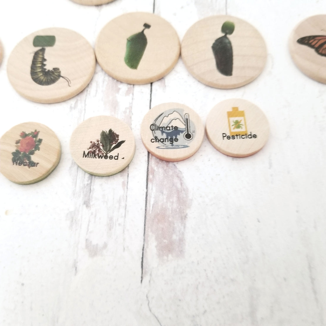 Coins for the life cycle board