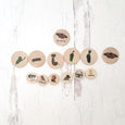 Coins for the life cycle board