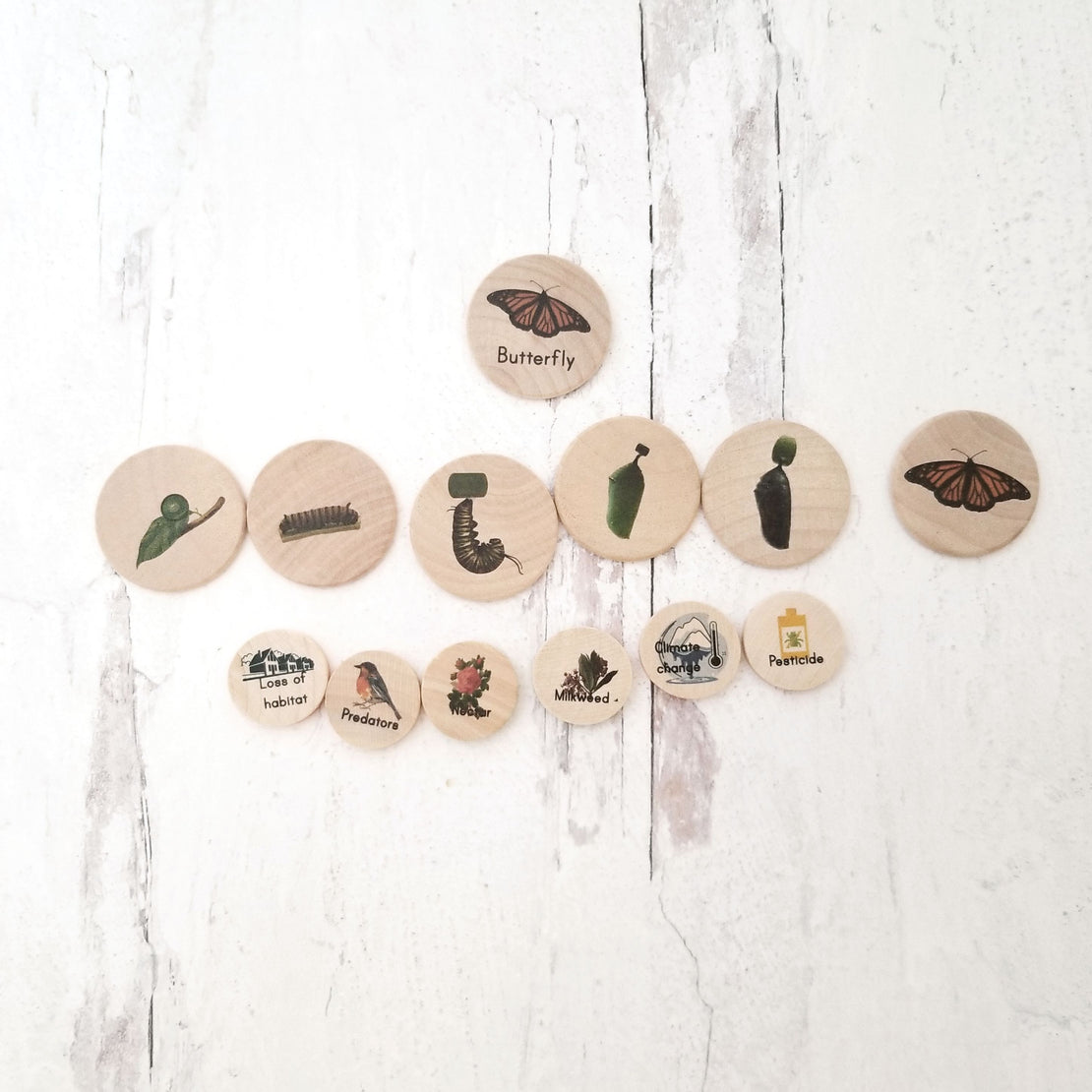 Coins for the life cycle board
