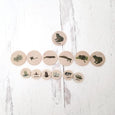 Coins for the life cycle board
