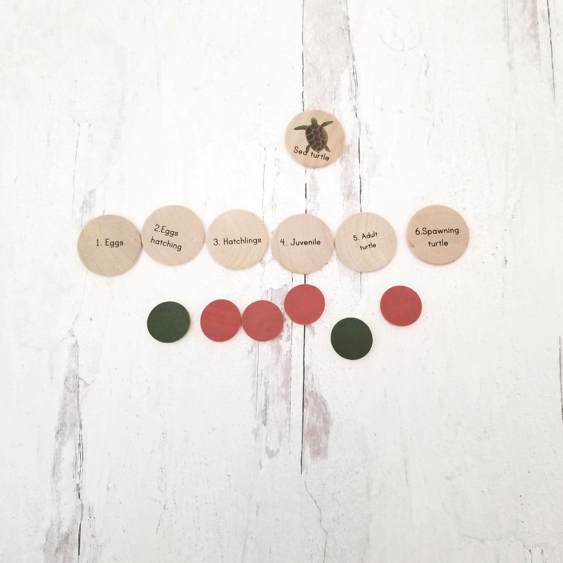 Coins for the life cycle board