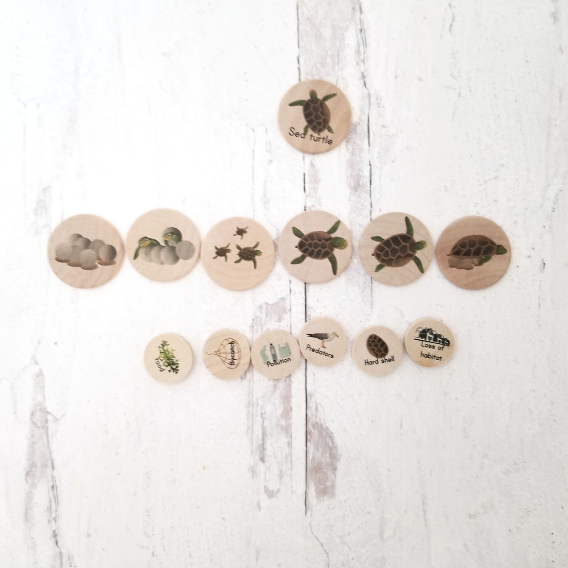 Coins for the life cycle board