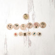 Coins for the life cycle board