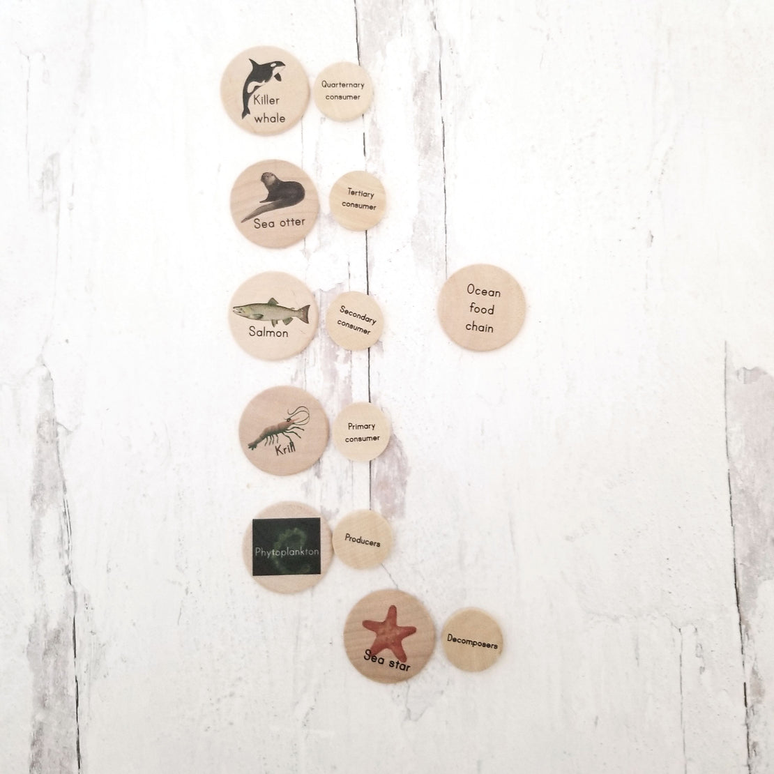 Coins for the life cycle board