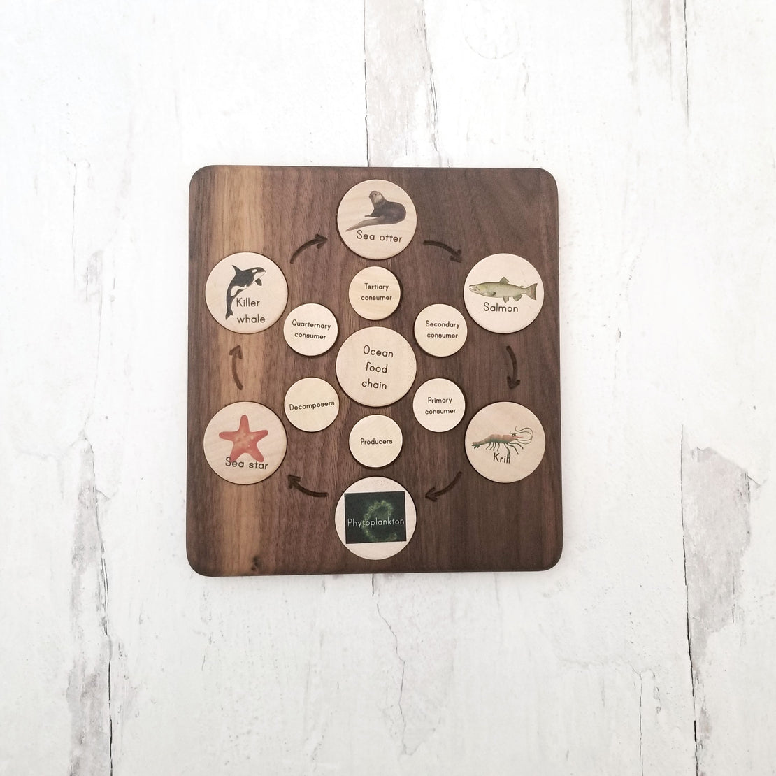 Coins for the life cycle board