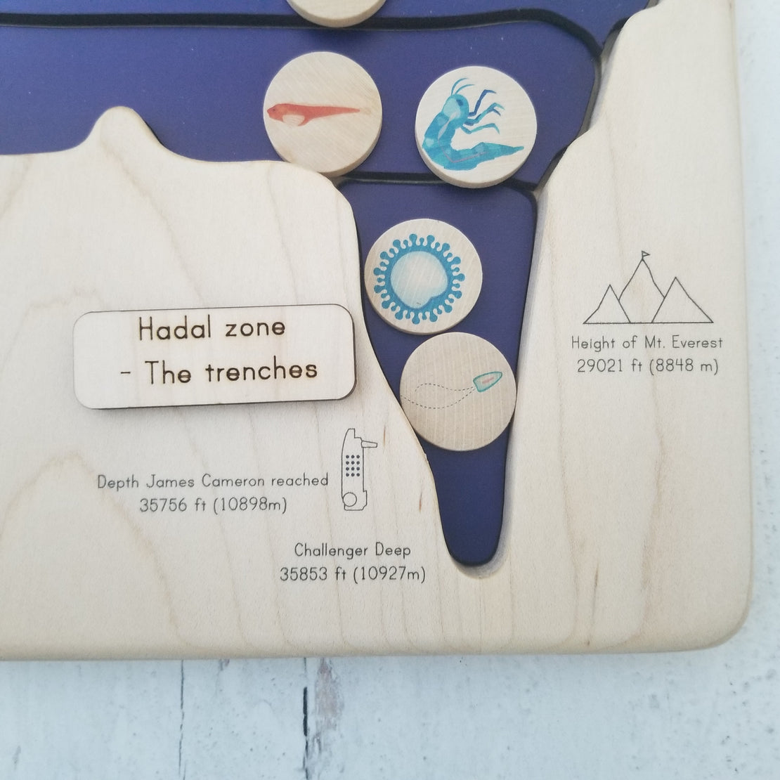 Zones of the ocean puzzle - Layers of the ocean