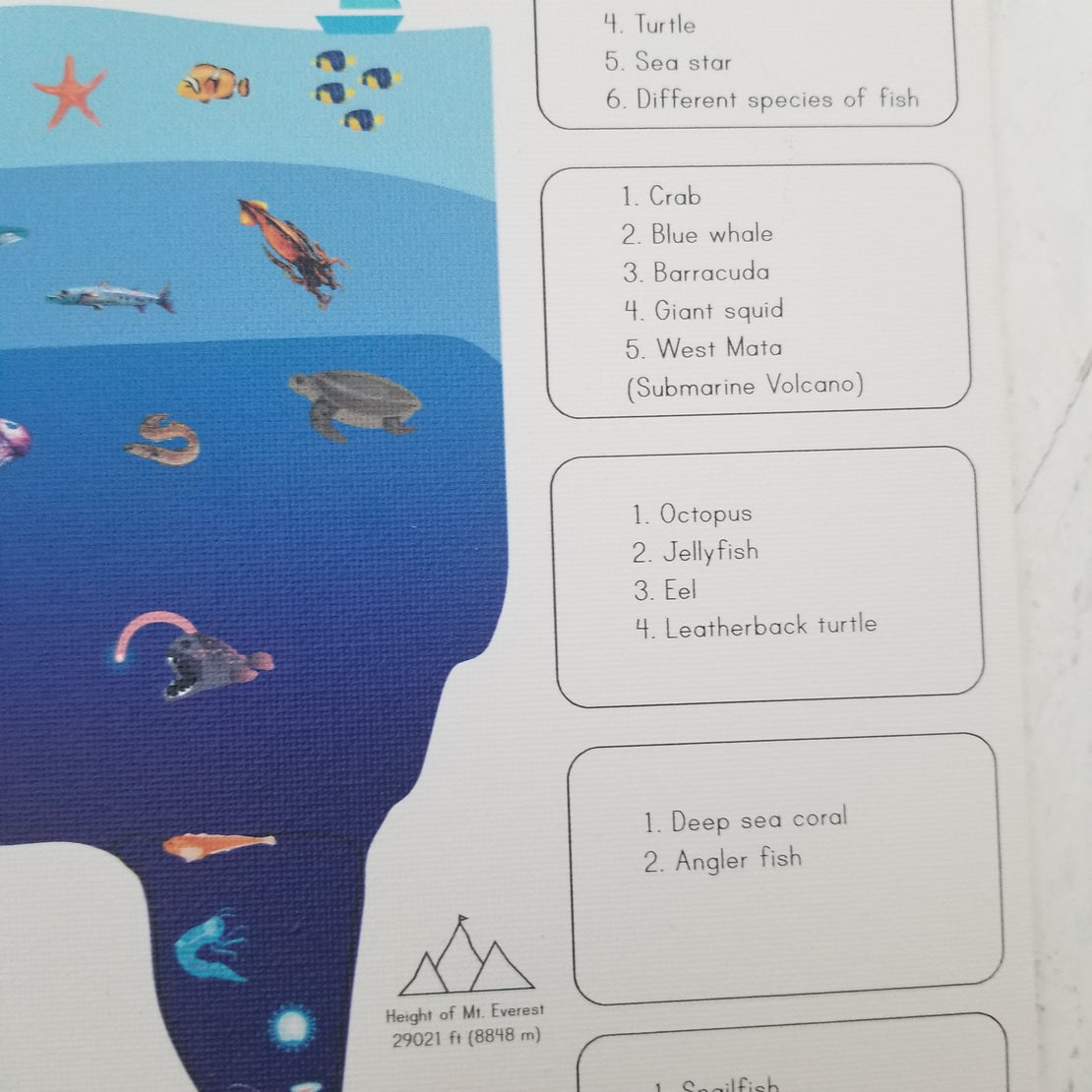 Zones of the ocean puzzle - Layers of the ocean